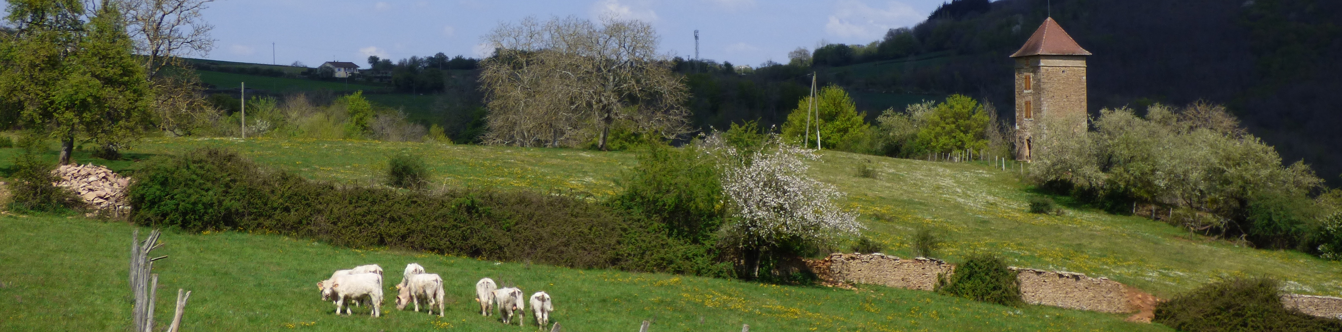 Bannière PAH entre Cluny et Tournus